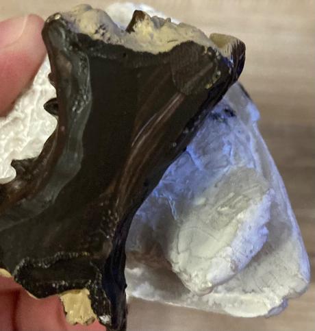 Nádherná sova dekorácia/vianoce, 