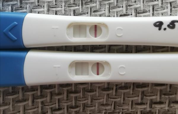 Môžem považovať výsledok týchto testov za možné tehotenstvo?