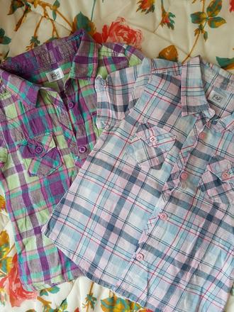 Bluzkova kosela, f&f,98