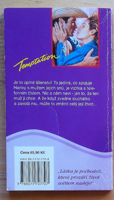 Muž jejích snú, alison kentová,