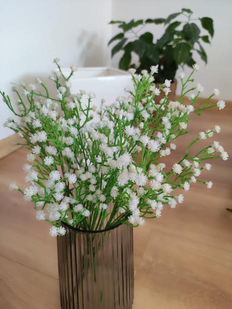 Gypsophila umelá,