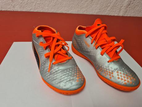 Halovky puma, puma,33