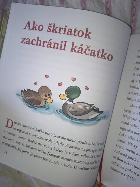Kniha s medovníčkom do rozprávky, 