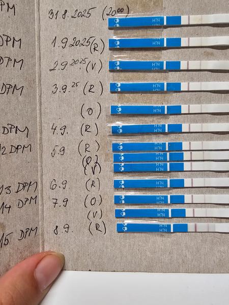 Je možné, že ovu testy su negatívne a ovu aj tak nastala?