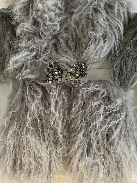 Vestičkami práva tibetská koza, l