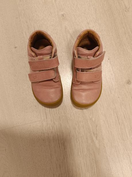 Lurchi v.23, lurchi,23