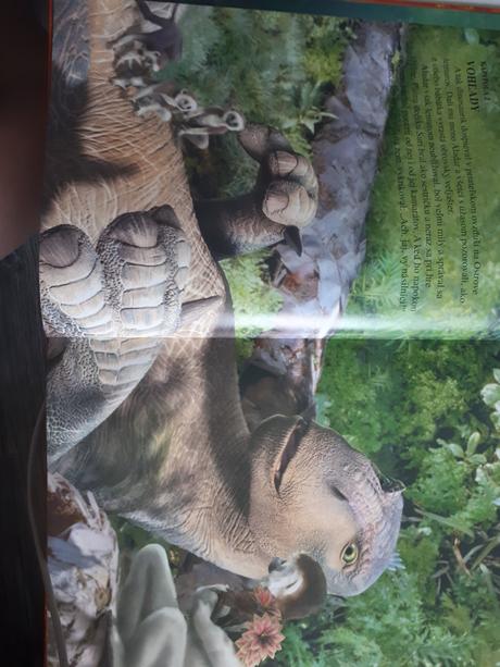 Chlapčenské knižky,