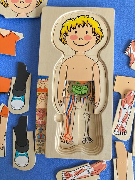 Viacvrstvové puzzle ľudské telo - chlapec, 