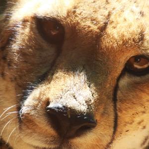 Som hrdá, že tam sa to podarilo