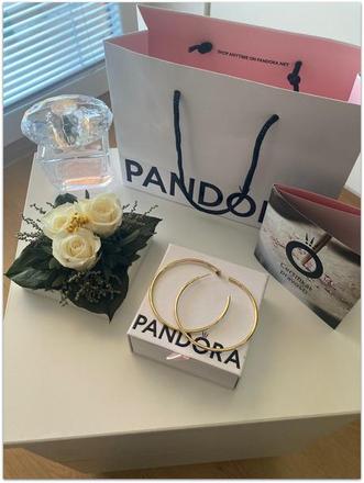 Pozlátené kruhové náušnice pandora, pandora