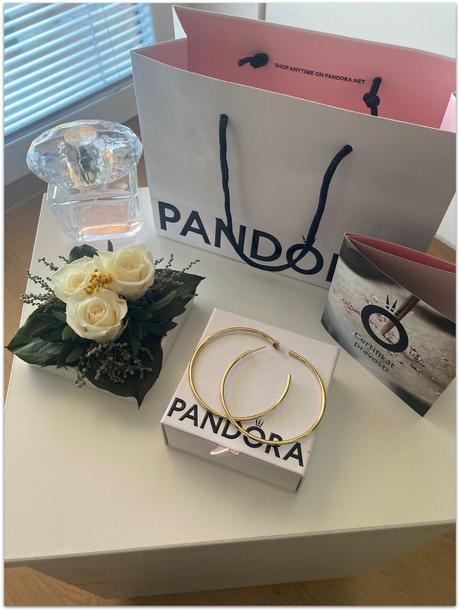 Pozlátené kruhové náušnice pandora, pandora