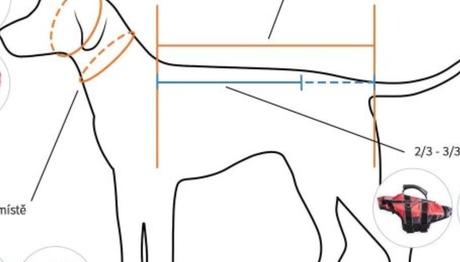 Non-stop plavacia vesta pre psa vel. 6,