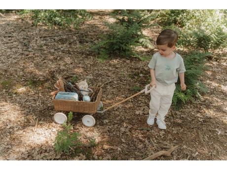 Little dutch sada kufríkov forest friends,