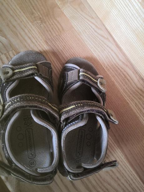 Sandále, coccodrillo,29