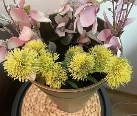 Bodliak 2 ks ( sada ), 