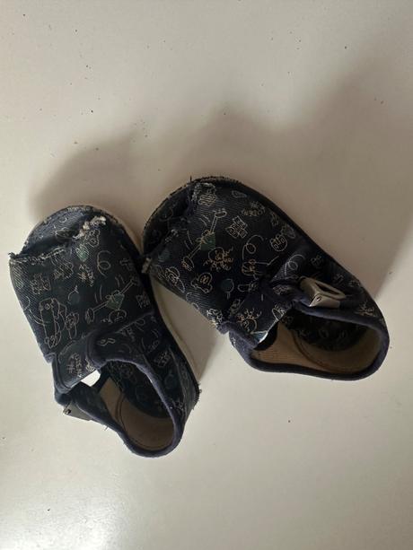 Rak papučky 19, rak,19