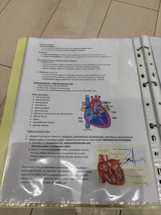 Biológia maturita-ľudské telo, sústavy človeka, 