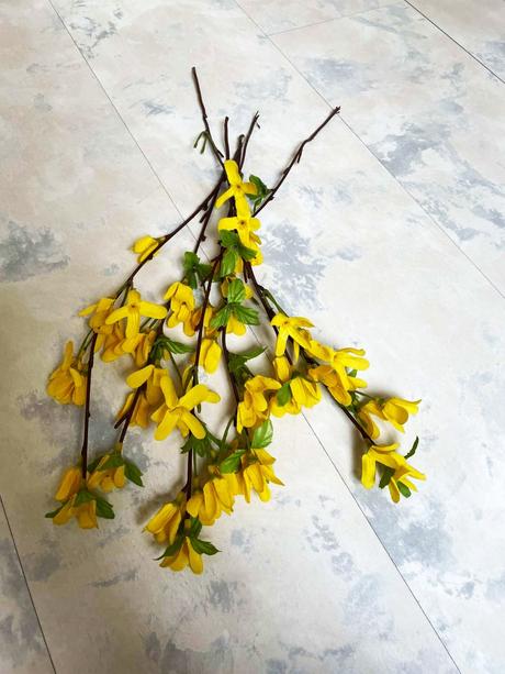 Kytička zlatý dážď, 