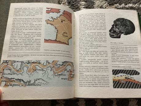 Cesta za adamom (1983), 