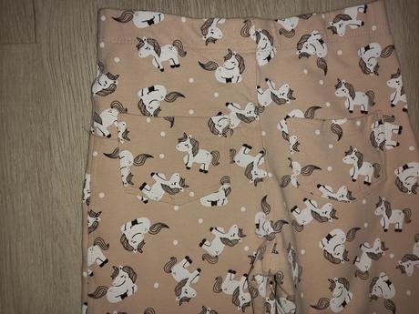 Koníková súprava, 134