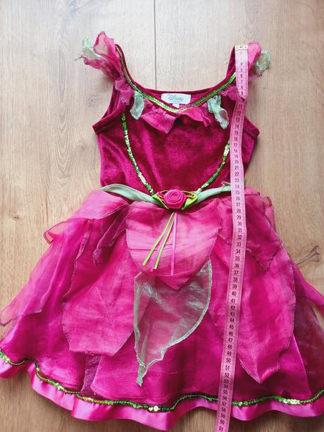 Princezná, víla alebo šípová ruženka,