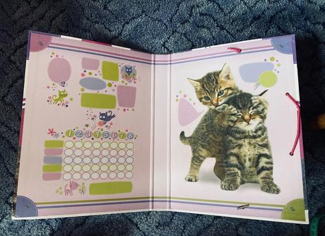 Školské dosky a4 veľké mačiatka,