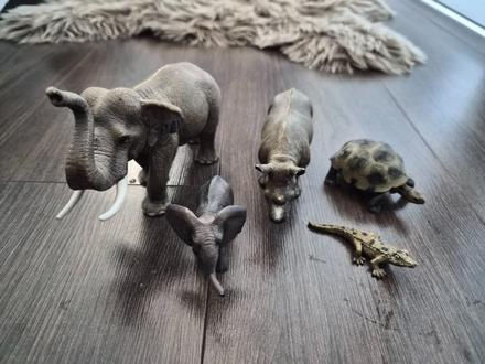 Africke zvieratka, 