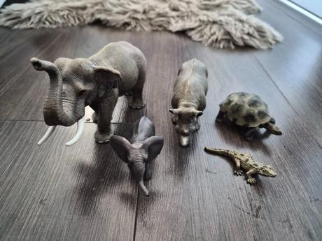 Africke zvieratka, 