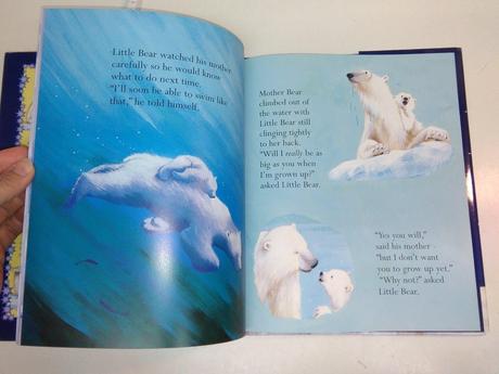 Big bear, little bear hb,