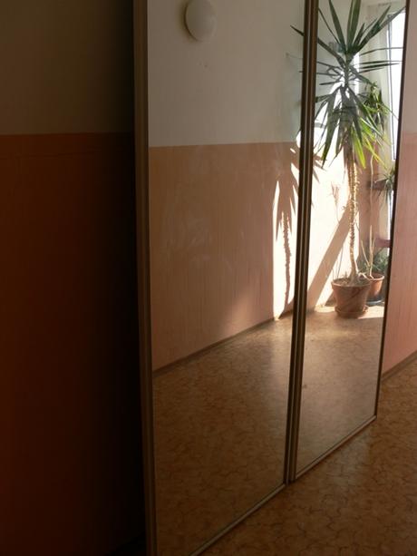 Roldor dvere - zrkadlo, 2 ks, 