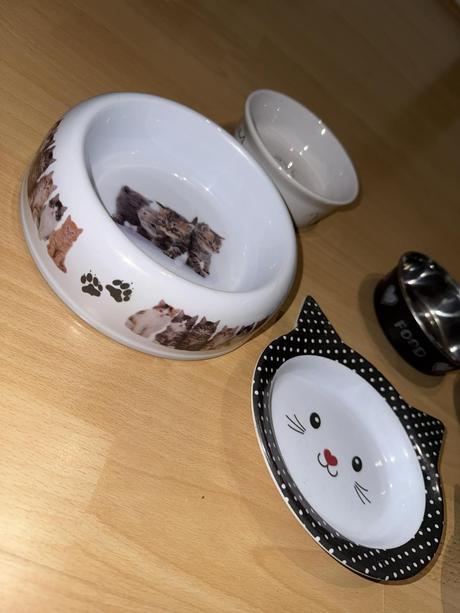 Príslušenstvo pre mačky, 