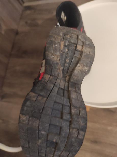 Snehule schecker, 27