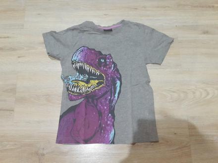 Tricko dinosaurus7r, next,122