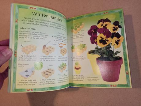 The usborne little book of flowers, 