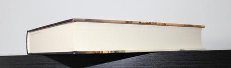 Stratené dievčatá v paríži, 