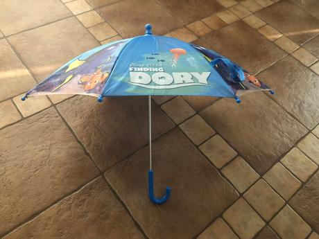Dory dazdnik,