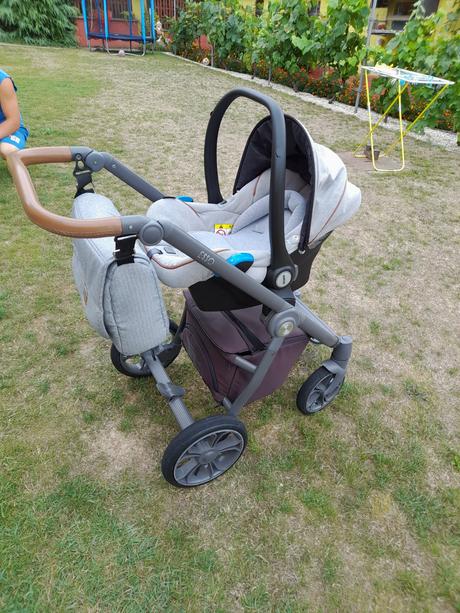 Kočík roan esso, roan,roan esso