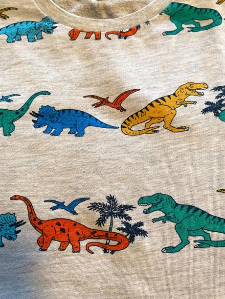 Šedá mikina s farebnými dinosaurami, 116-122 cm, 122