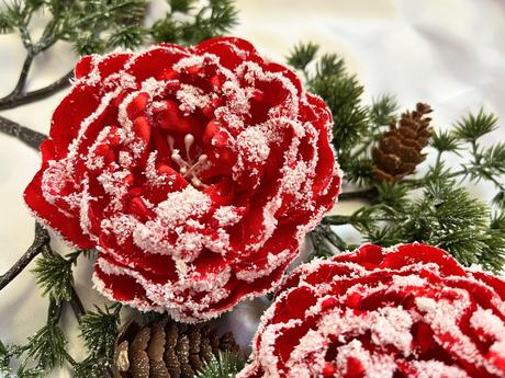 Zimná pivonka s kúzlom snehu a mrazu, 