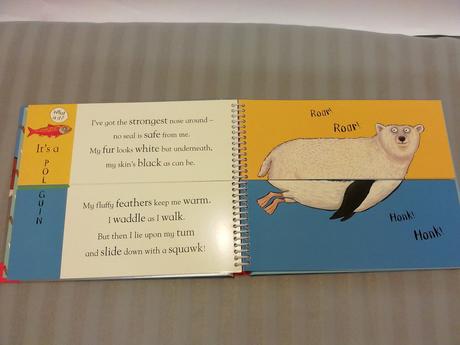 Alex scheffler flip flap frozen sp22, 