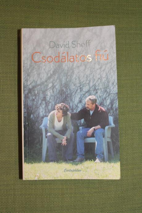 Výborný príbeh-film s timothée chalamet,