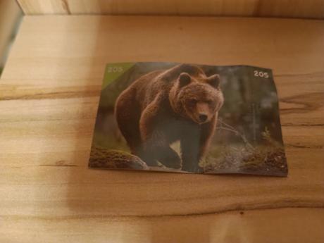 Nálepky animal kingdom, 