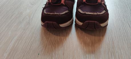 Snehule, elefanten,28