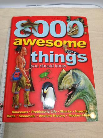 2x 8000 awesome things you should know, 