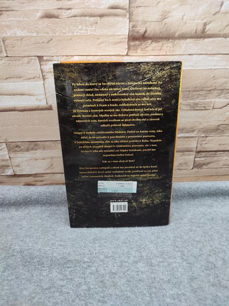 Zasvätený - simon toyne,