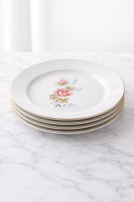 Porcelánové taniere budkovce 10 ks, 