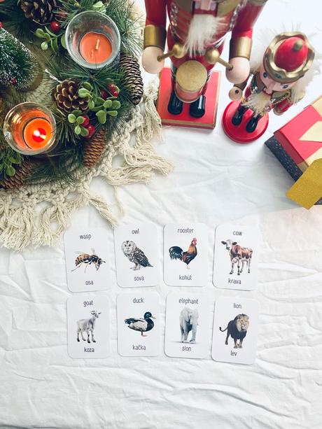 Slovensko-anglické kom. kartičky s real obrázkami,