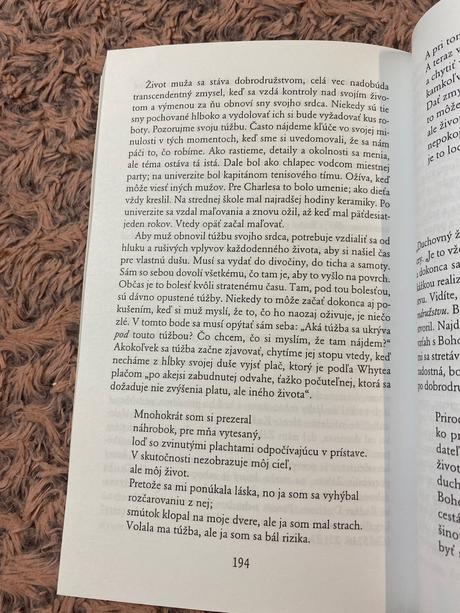 Divoký v srdci objavovanie tajomstva duše muža jo,