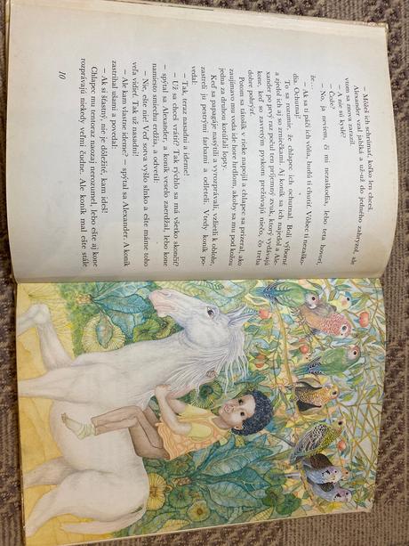 Biely koník cardoso jorge onelio, 