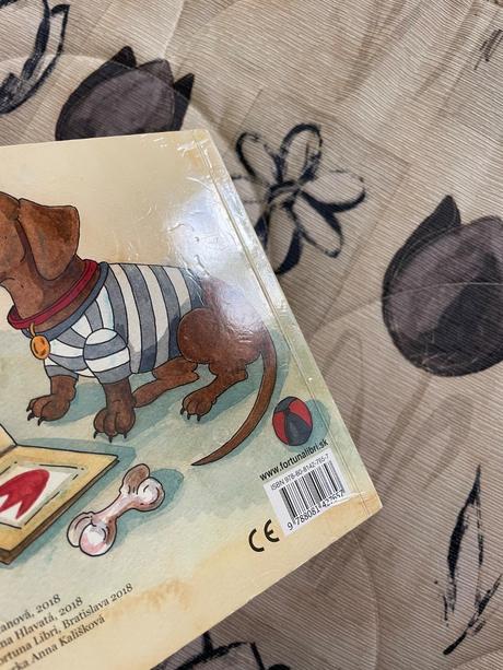 Kniha-basnicky pre male deticky, 